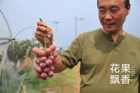 种植者的肺腑之言：只要让我有利润，我就愿意干图片