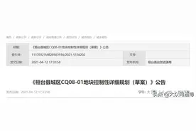 正在公告！淄博这个地块规划要建学校、幼儿园、公园图片
