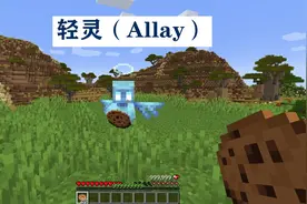 Minecraft 1.19 荒野更新中，将添加的40个特性图片