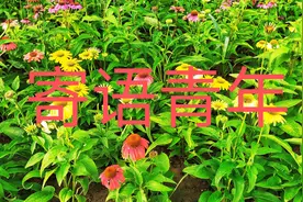 怎样看待和理解生活的“不容易”？图片