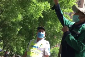 吓人！郑州一路段下起“虫雨”，一脚下去能踩死一片图片
