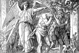 人都是女人生的，在人类出现之前，第一个女人是哪里来的？图片