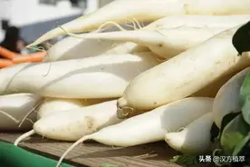 冬吃萝卜夏吃姜，但吃哪种萝卜呢？图片