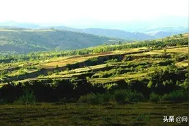 朔州：打造四大高地 建设塞上绿都图片