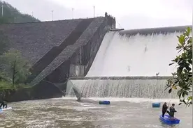 浙江一水库开闸，几十斤的大鱼纷纷被冲下，有人一次捞几百斤图片