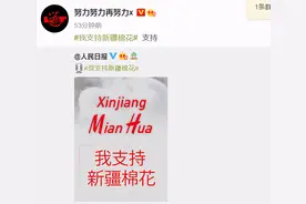 支持“新疆棉”！王一博张艺兴解约代言，让我们看到了后生可畏图片