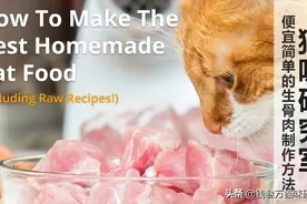鸡胸肉猫饭的配制方法，懒人专用「无骨头猫饭通用配方」图片