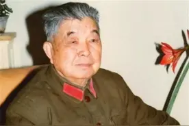 一位将军出走20年，建国后派人回乡接母亲，却发现她在街边乞讨图片