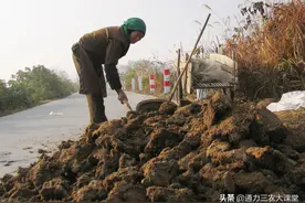 一吨鸡粪相当于多少尿素，果树追施鸡粪一定要注意，否则颗粒无收图片