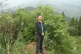 让道德与法治课堂多点“研究味儿”丨行思教育图片