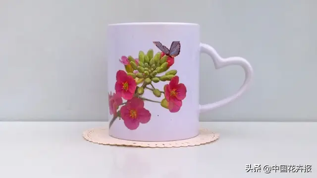 北国杏花初绽，江南已是油菜花漫山，“可甜可盐”的彩色油菜花，爱了！