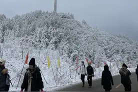注意！仙女山景区由于入园游客达到最大承载能力，现已暂停售票入园图片