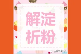 九种淀粉特性解析图片