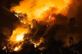 山火频发 美国西海岸变“火焰山”天灾还是人祸？图片