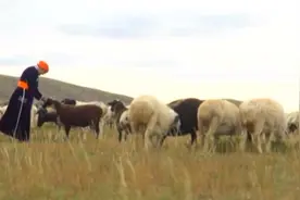 全国道德模范候选人丨都贵玛：28个孤儿的草原额吉图片