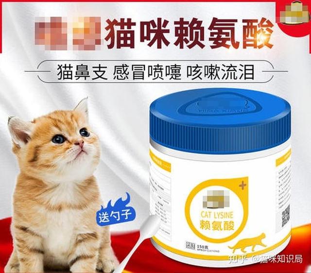 养猫的智商税，快来看看吧