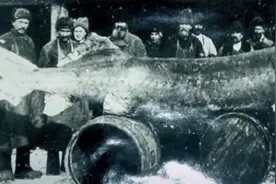 俄罗斯63年前现巨型水怪，长15米似大卡车，至今不知是何生物图片