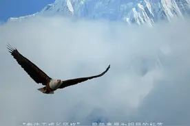 鹏华基金蒋鑫：坚持做正确的事，时间就会给出答案图片