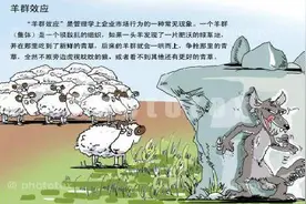 【羊群效应】图片
