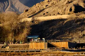 穿越光阴——南疆的秋日森林图片