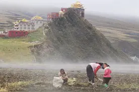 60后爱摄影的阿姨行摄317，醉于狮子山雪山云海，藏族孩子更可爱图片