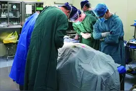 24岁研究生突发疾病遗憾离世，家属捐献5个器官，已帮助3位患者重生图片