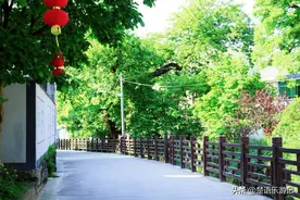 宁波这个古村风景秀丽，藏在深山却出了70多位教授，有何特别之处图片