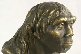 北京猿人（约70万-30万年前）图片