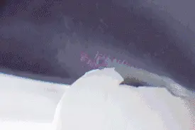 咸鸭蛋，你吃对了吗？有了这三点，挑的蛋红得流油！图片