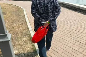 住手！这不是挖“婆婆丁”的地儿图片