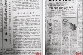 牛蛙「入侵」中国餐桌史图片