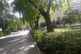 一五二、读书认字如日常饮食《论语》述而篇第七之二有意思图片