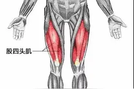 你的膝关节有个“保护伞”，这样锻炼最有效图片