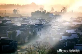 建议新手写作不要报“写作课”​图片