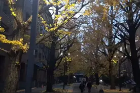 「日本留学」号称日本最大规模的学校，快来了解一下图片