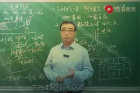 人的舌头，能感受几种味道？人大附中李永乐老师说错的一点知识图片