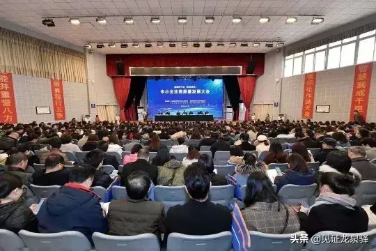 今年奖补资金3.81亿元！龙泉驿的企业就是这么幸福