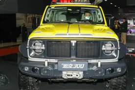 暴力美学，坦克300风林铁骑正式亮相，全新设计前脸图片