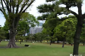 走马观花看日本——衣食住行图片