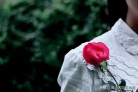 蔫红半落生香在，向晚玫瑰架上风图片