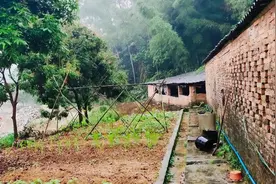 户口迁出农村的人，还能拥有宅基地和承包地吗？听听专家怎么说图片