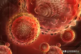 专攻人类的DNA型病毒！带你了解乙肝病毒的前世今生图片