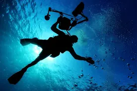 澳洲剧毒海蛇把潜水员当求偶目标，专家：闻错味道了图片