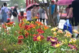 第十届花博会 | 第十届中国花卉博览会圆满闭幕图片