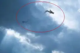 1995年，安徽曾有巨蟒渡劫，却被雷电击中飞升失败，是真是假？图片