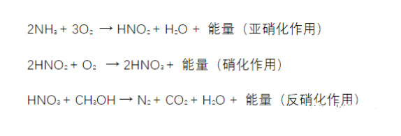 总氮丶氨氮丶硝酸盐氮丶亚硝酸盐氮丶凯式氮总是傻傻分不清楚？