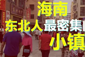 东北人喜欢扎堆的海南小镇！究竟其有什么魅力让北方人愿意去养老图片