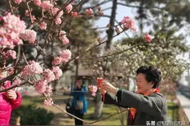 兰州春暖花开图片