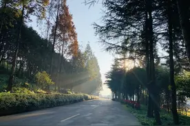 《酒财经》对我的专访文章，文字功底不错图片
