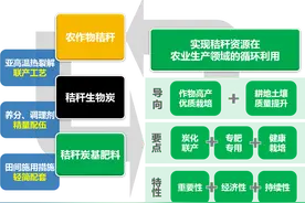 农业农村部发布2020年十大引领性技术，辽宁一成果上榜图片